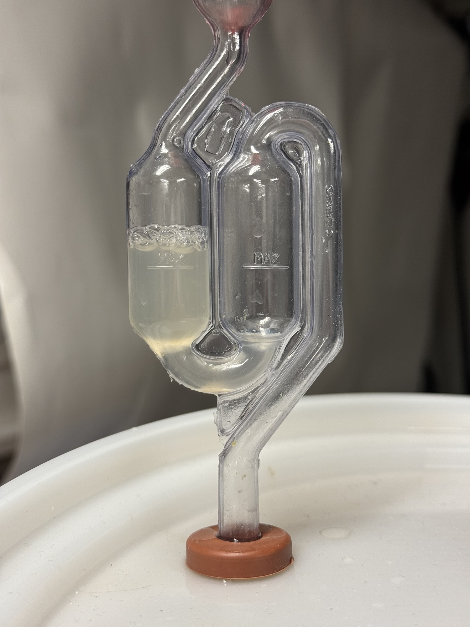 Helios IPA närmar sig torrhumling